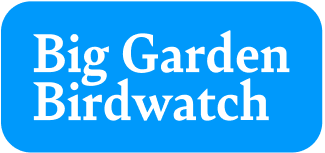 RSPB Big Garden Birdwatch